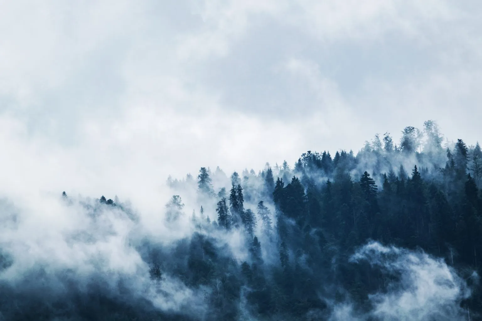 What causes anxiety?