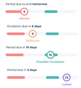 Viewing your cycles diagram
