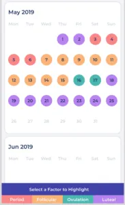 Period calendar view