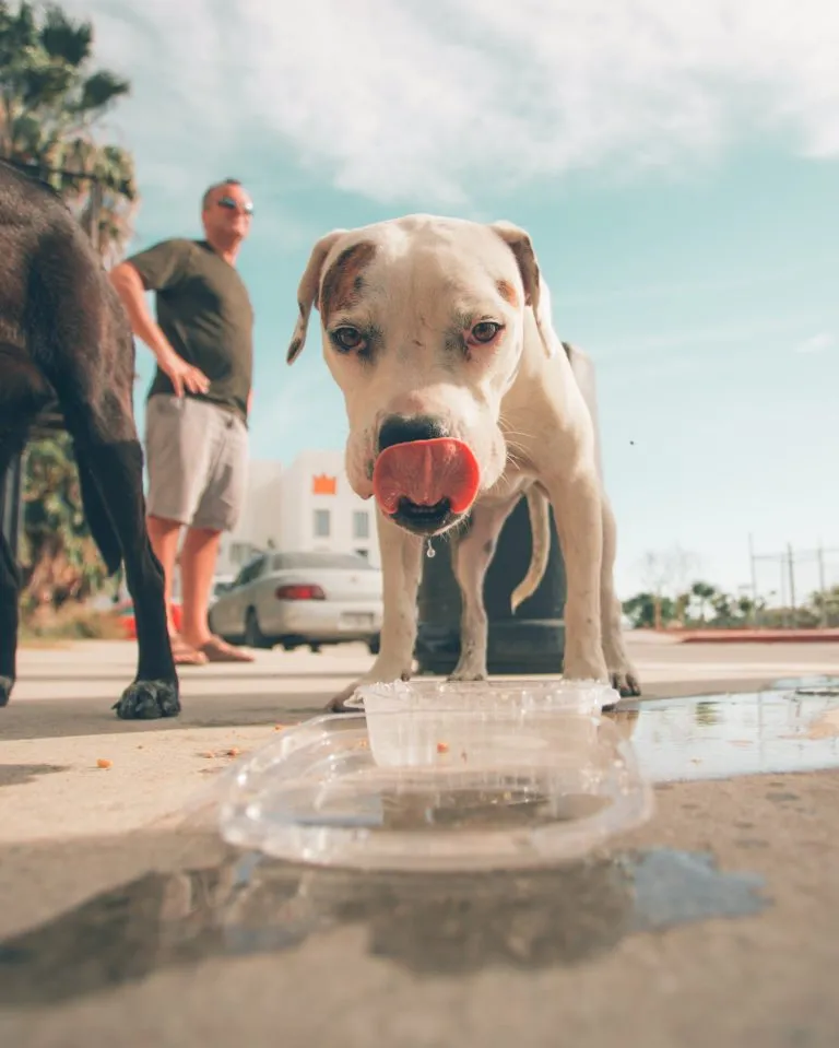Dehydration and anxiety