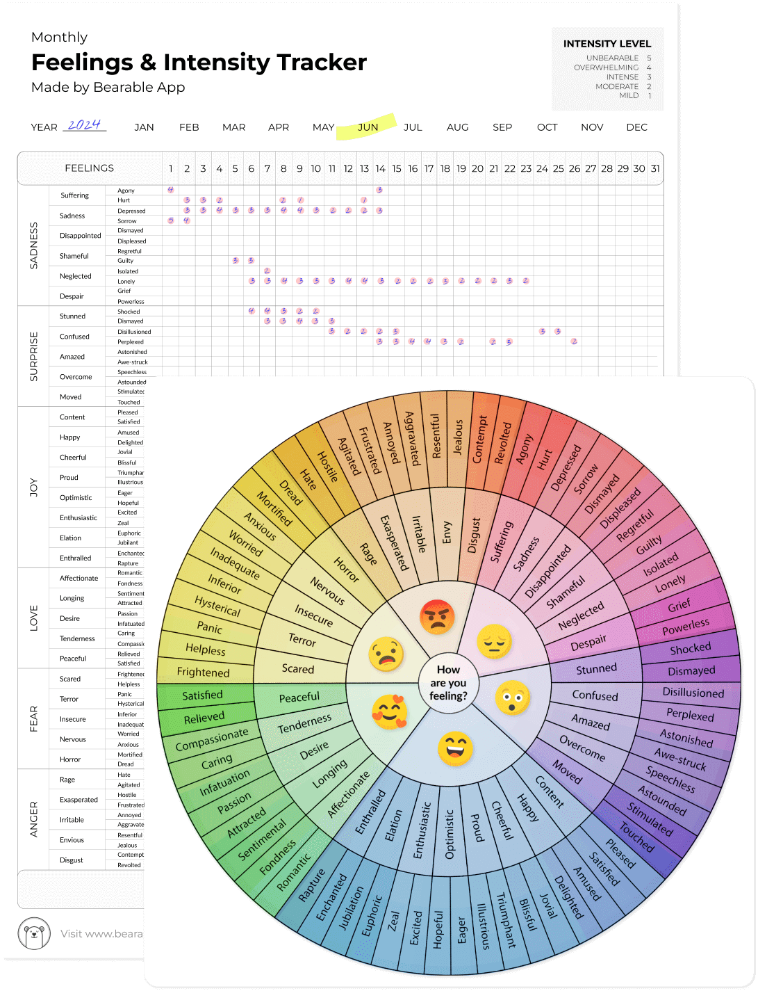 Feelings Wheel PDF & Mood Tracker Worksheet Mock Up