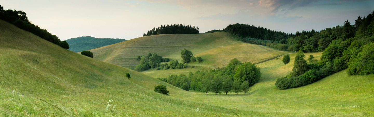 Time in nature for depression