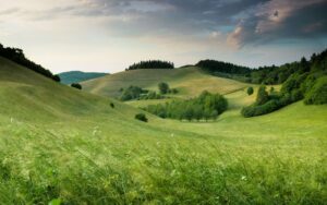 Time in nature for depression