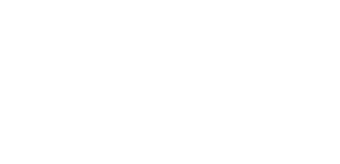 Vox Logo